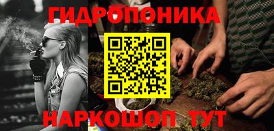соль ск Гай