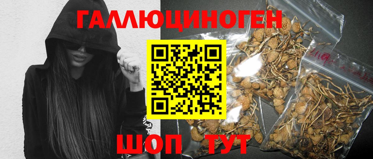 Псилоцибиновые грибы MAGIC MUSHROOMS Новошахтинск
