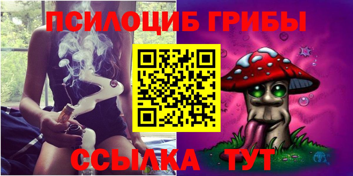 Галлюциногенные грибы Psilocybe  Вход с VPN  Псилоцибиновые грибы мицелий  Новошахтинск 